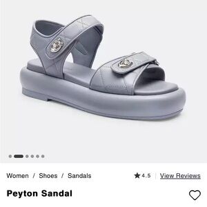 COACH Peyton Leather Platform Sandals Size 9 In Grey Blue New In Box